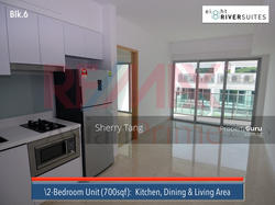 Eight Riversuites (D12), Condominium #109814482